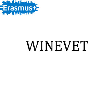 Winevet-featured